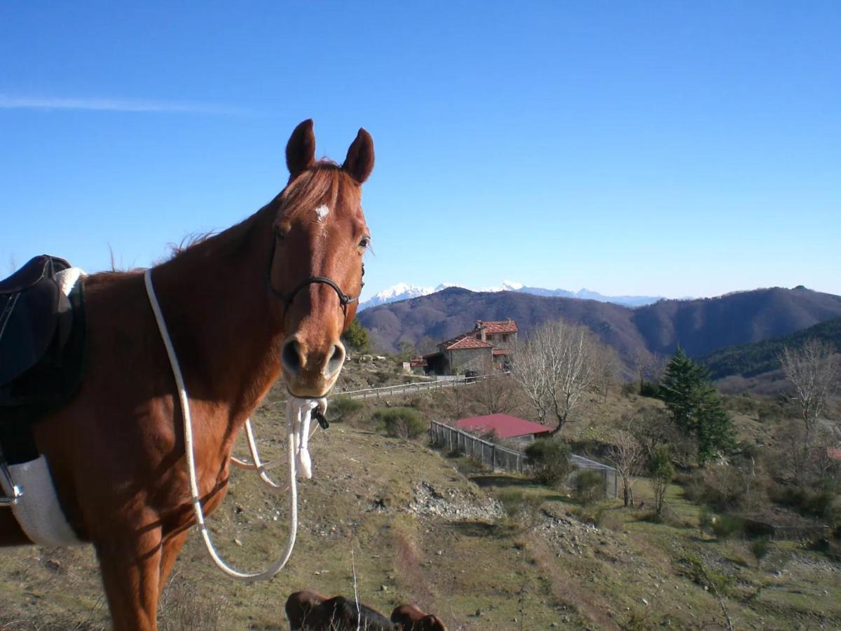 Casa Della Barcareccia Villa Calice al Cornoviglio ภายนอก รูปภาพ