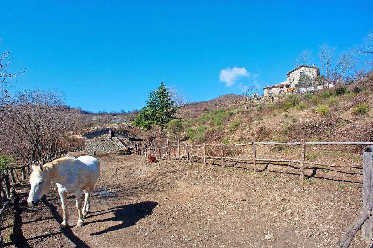 Casa Della Barcareccia Villa Calice al Cornoviglio ภายนอก รูปภาพ